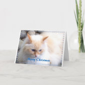 Frohe Weihnachten (Vorderseite)