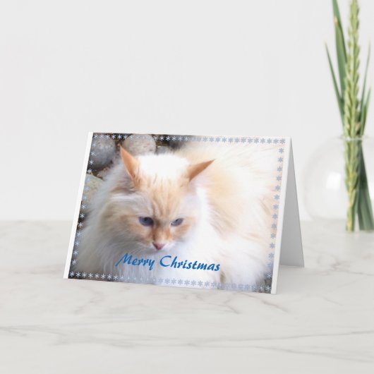 Frohe Weihnachten (Vorderseite)