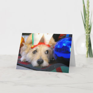 Frohe Weihnachten
