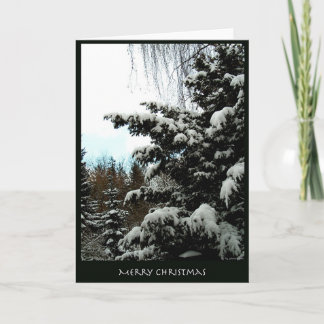Frohe Weihnachten