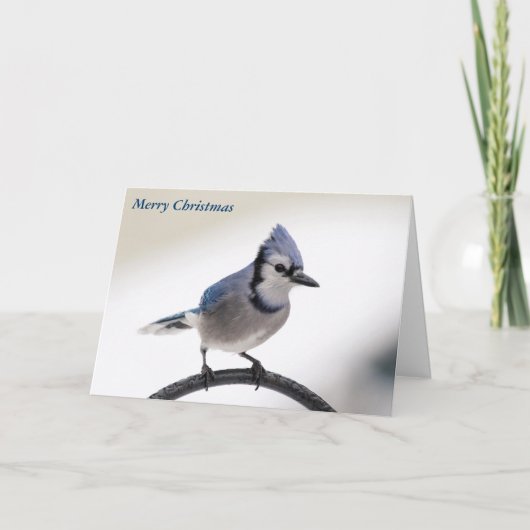 Frohe Weihnachten (Vorderseite)