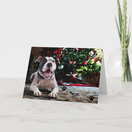 Frohe Weihnachten (Vorderseite)