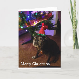 Frohe Weihnachten