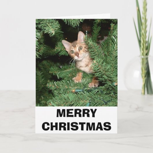 FROHE WEIHNACHTEN (Vorderseite)