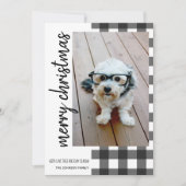 Frohe Weihnachten 1 Foto White Black Buffalo Karie (Vorderseite)