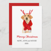 Frohe Weihnachten 2020 Labrador Welpe in rotem Sch Ankündigung (Vorne/Hinten)