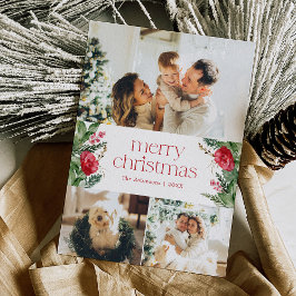 Frohe Weihnachten 3 Foto Botanische Vegetation