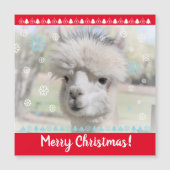 Frohe Weihnachten Alpaca Magnetkarte (Vorderseite)