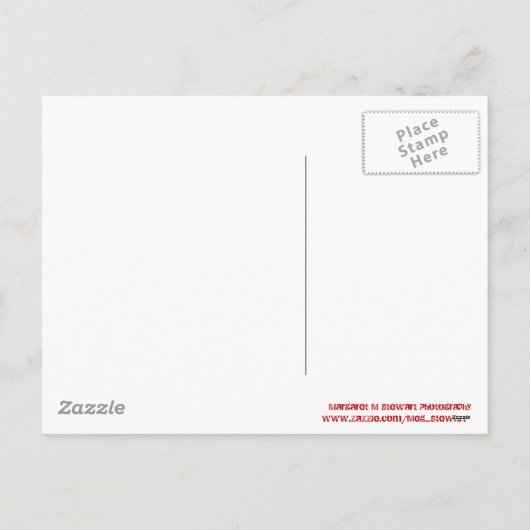 Frohe Weihnachten am Strand (Rückseite)