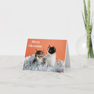 FROHE WEIHNACHTEN AN *EINE COOLE KATZE* KARTE