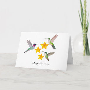 Frohe Weihnachten Annas Kolibris und Sterne