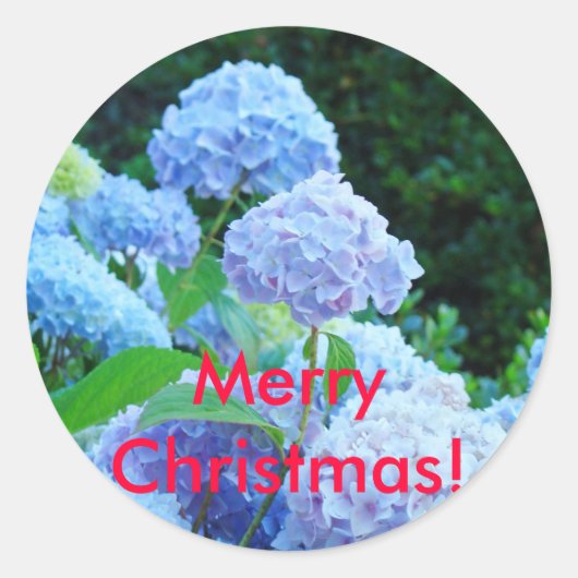 Frohe Weihnachten! Aufkleber Blue Lavender Hydrang (Vorderseite)