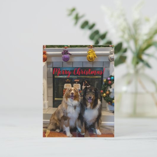 Frohe Weihnachten aus Aussies (Stehend Vorderseite)