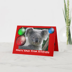 Frohe Weihnachten aus Australien Koala