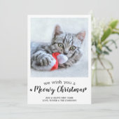 Frohe Weihnachten aus dem Cat Modernes Foto für Ha (Stehend Vorderseite)