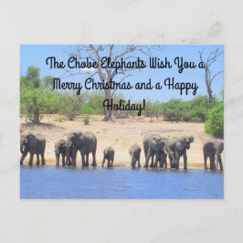 Frohe Weihnachten aus der Chobe Elephants Postkart