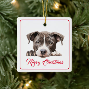 Frohe Weihnachten aus der Hunde Keramik Ornament