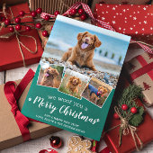 Frohe Weihnachten aus der Hunde Spaß Pet Foto Coll