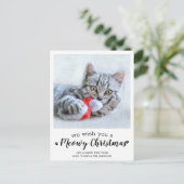 Frohe Weihnachten aus der Katze Modernes Haustier  Postkarte (Stehend Vorderseite)
