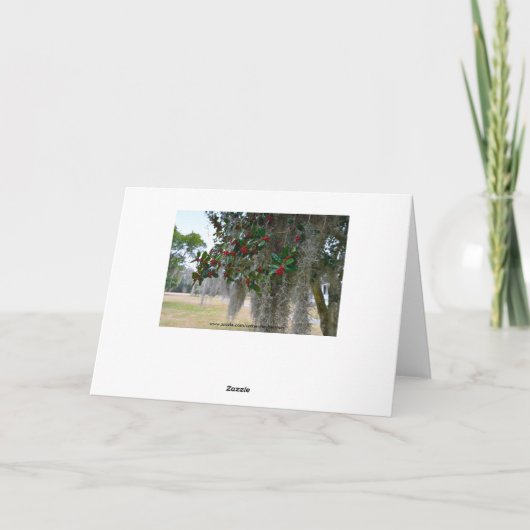 Frohe Weihnachten aus Florida (Rückseite)