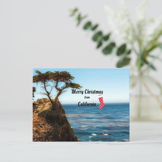 Frohe Weihnachten aus Kalifornien (Stehend Vorderseite)