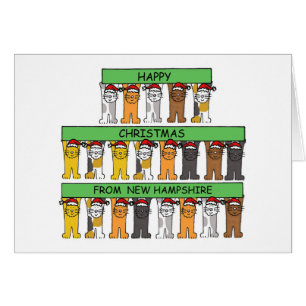 Frohe Weihnachten aus New Hampshire Niedliche Katz