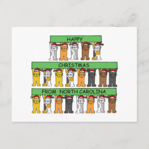 Frohe Weihnachten aus North Carolina, Katzen.