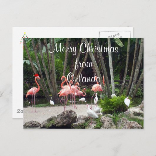 Frohe Weihnachten aus Orlando (Vorne/Hinten)