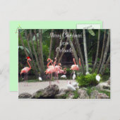 Frohe Weihnachten aus Orlando - Rosa Flamingos (Vorne/Hinten)