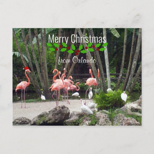 Frohe Weihnachten aus Orlando - rosa Flamingos (Vorderseite)