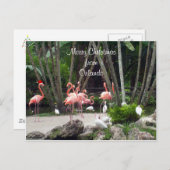 Frohe Weihnachten aus Orlando - rosa Flamingos, (Vorne/Hinten)