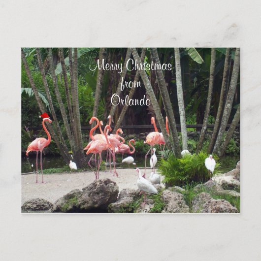 Frohe Weihnachten aus Orlando - rosa Flamingos, (Vorderseite)