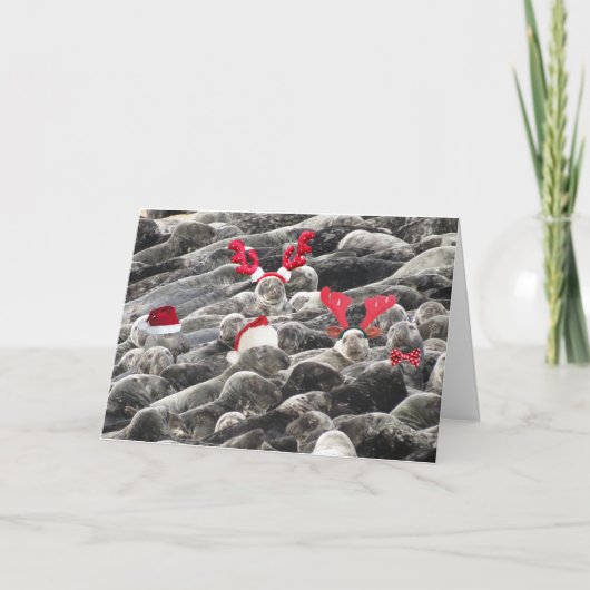 Frohe Weihnachten aus Siegeln (Vorderseite)