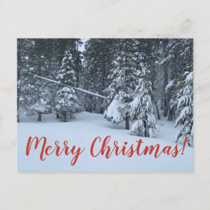Frohe Weihnachten aus Tahoe City! Postkarte