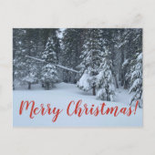 Frohe Weihnachten aus Tahoe City! Postkarte (Vorderseite)