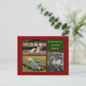 Frohe Weihnachten Aussie Animals (Stehend Vorderseite)