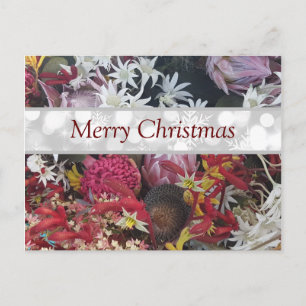 Frohe Weihnachten Australian Native Blume Postkarte