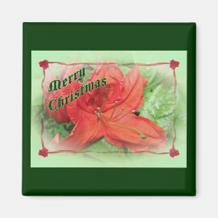 Frohe Weihnachten Azalea Magnet