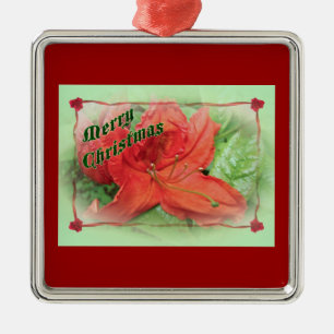 Frohe Weihnachten Azalee Silbernes Ornament