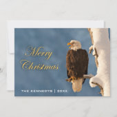 Frohe Weihnachten - Bald Eagle Perching (Vorderseite)