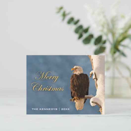 Frohe Weihnachten - Bald Eagle Perching (Stehend Vorderseite)