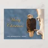 Frohe Weihnachten - Bald Eagle Perching (Vorderseite)