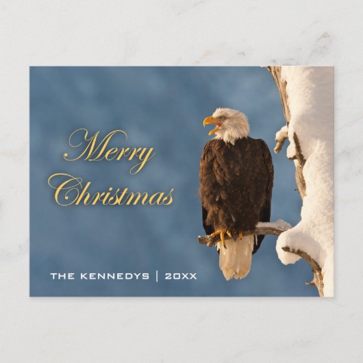 Frohe Weihnachten - Bald Eagle Perching (Vorderseite)