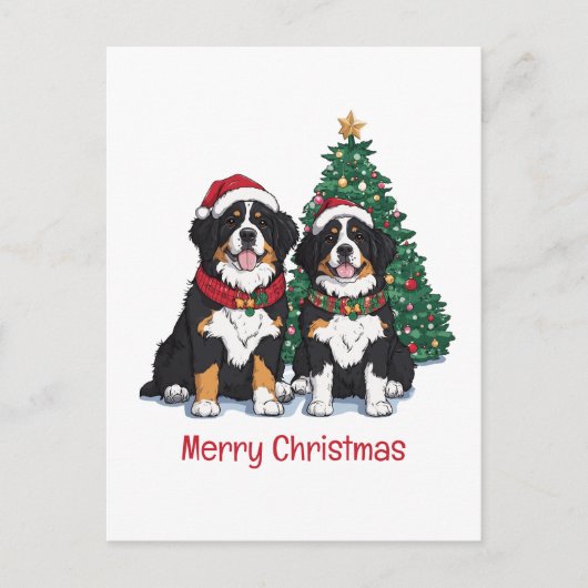 Frohe Weihnachten Berner Sennenhunde (Vorderseite)