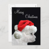 Frohe Weihnachten Bichon Frise (Vorne/Hinten)