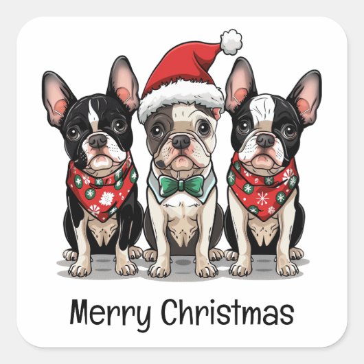 Frohe Weihnachten Boston Terrier Dogs Quadratischer Aufkleber (Vorderseite)
