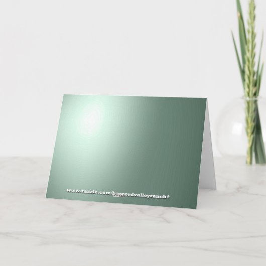 Frohe Weihnachten Bowling Grüße (Rückseite)