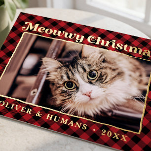 Frohe Weihnachten Büffel Kariert Katzen Foto Lusti Folien Feiertagspostkarte
