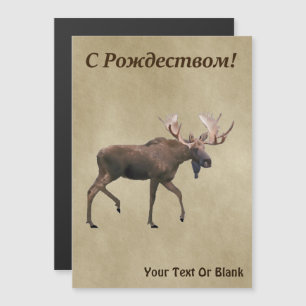 Frohe Weihnachten - Bull Moose auf altem Papier Magnetkarte