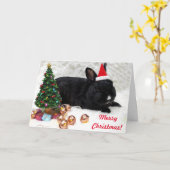 Frohe Weihnachten Bunny Rabbit in einer Weihnachts Karte (Gelbe Blume)